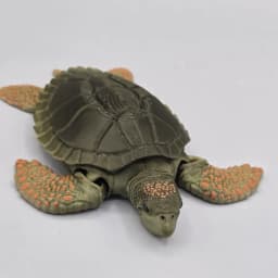 Prehistoric Archelon Sea Turtle Dinosaur 3d model