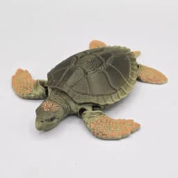 Prehistoric Archelon Sea Turtle Dinosaur 3d model