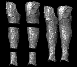 MESSMER THE IMPALER leg armor life size cosplay - Elden Ring Shadow of the Erdtree Fan Art 3d model