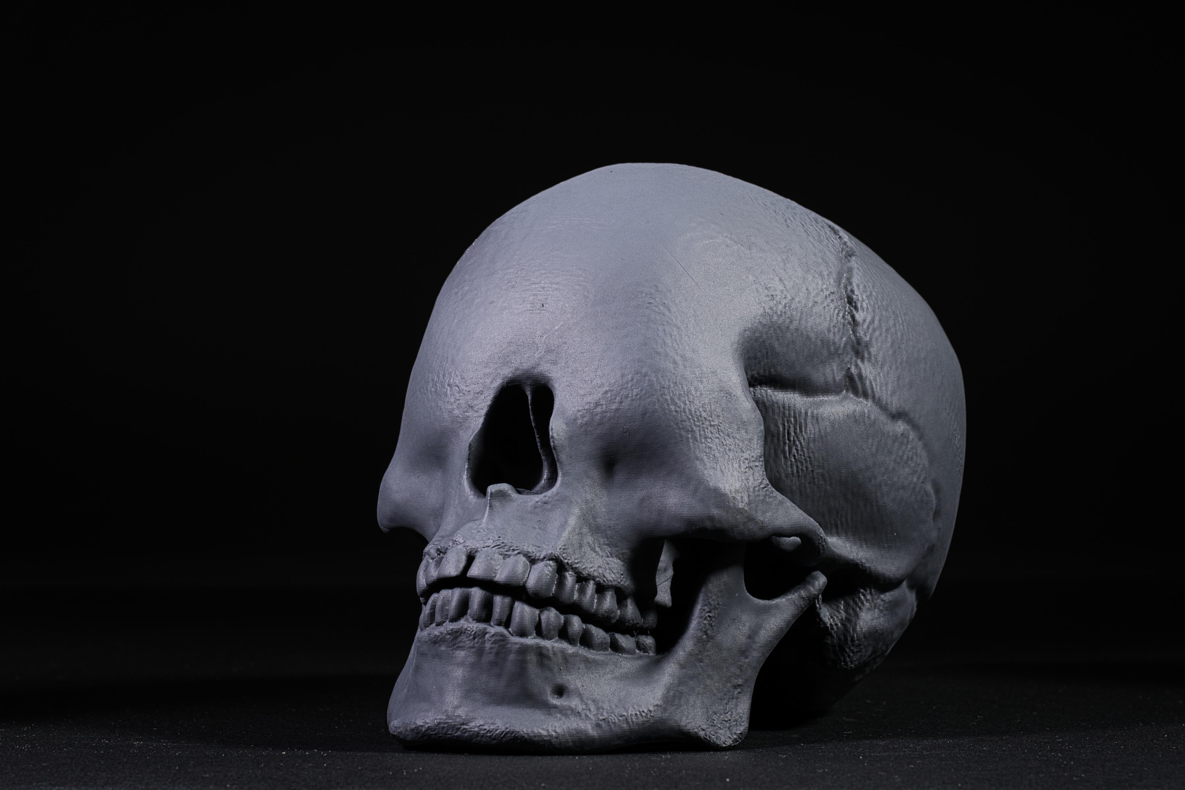 Blind Skull 3d model