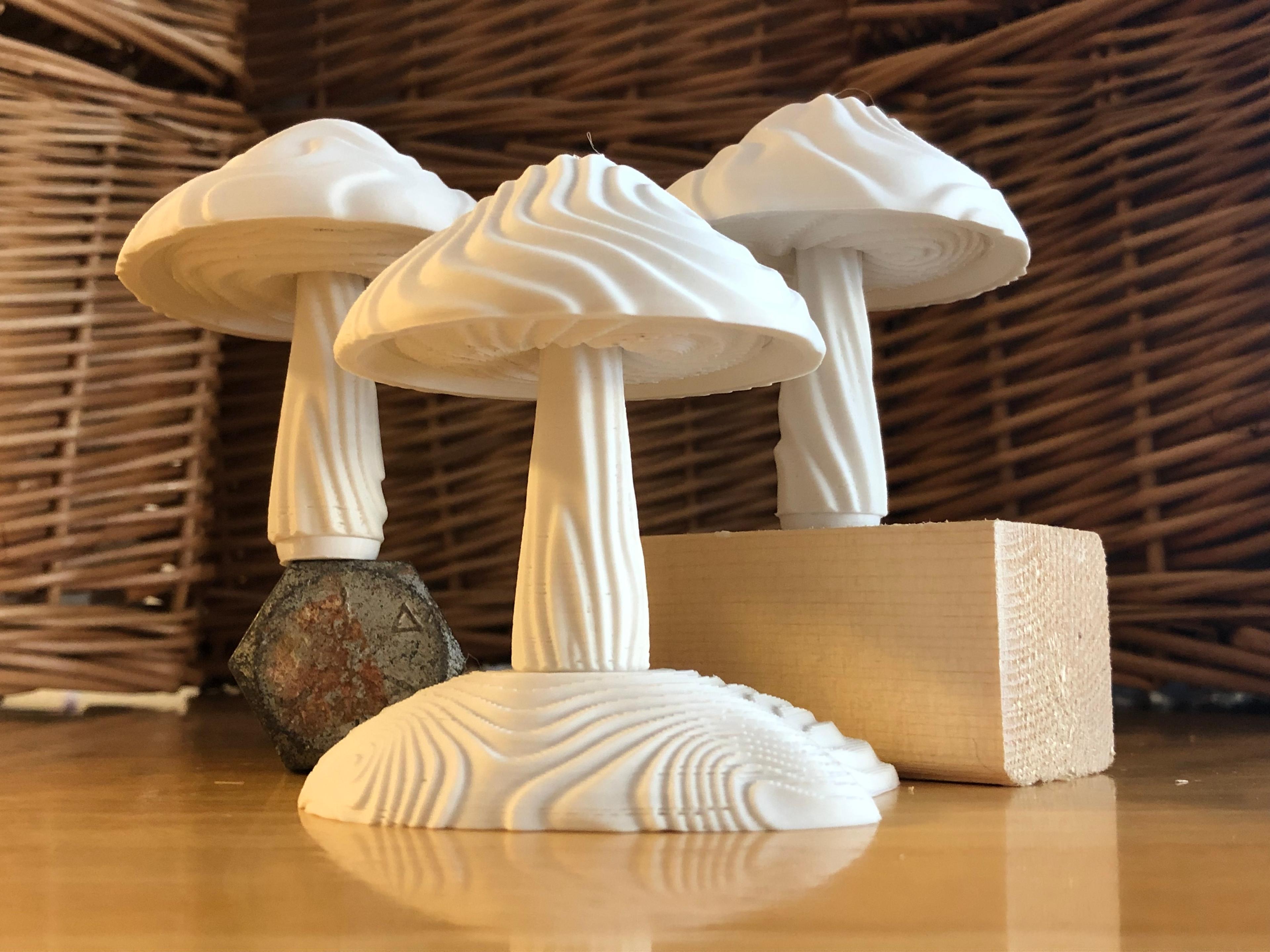 Wavey Modular Mushrooms 3d model