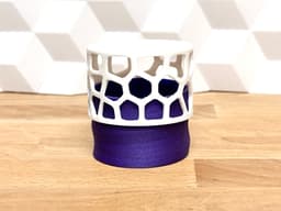 Voronoi Multi Box (twist to open bowl) 3d model