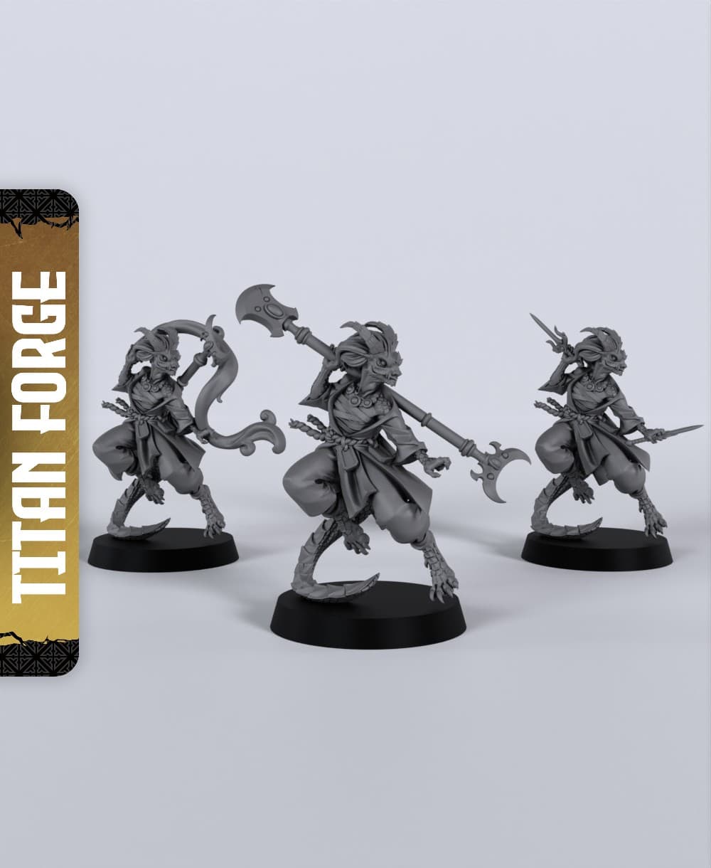 Dragonborn Female Monk - With Free Dragon - 5e DnD Inspired for RPG and Wargamers 3d model