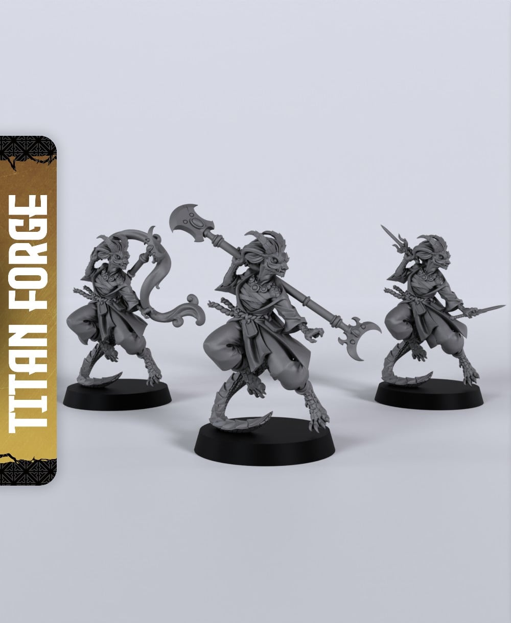 Dragonborn Female Monk - With Free Dragon - 5e DnD Inspired for RPG and Wargamers 3d model