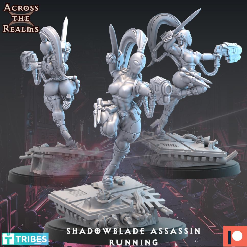 Shadowblade Assassin  3d model