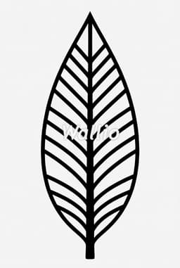 Feuille d’arbre élégante – décoration murale 3d model