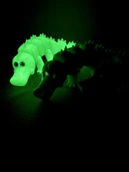 Goofy Gator! 3d model