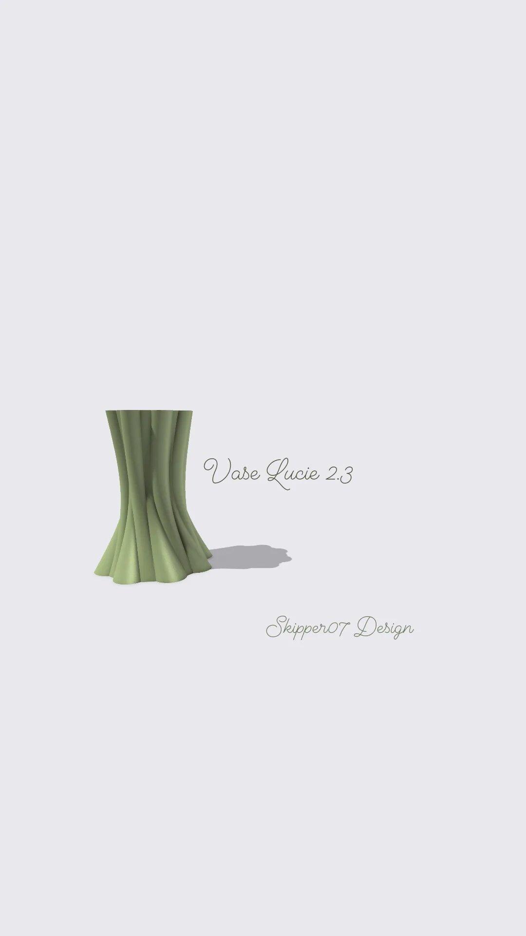 Vase Lucie 2.3.stl 3d model