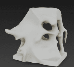 Fossiles Labyrinth – Gebleichte Riff-Wand 3d model