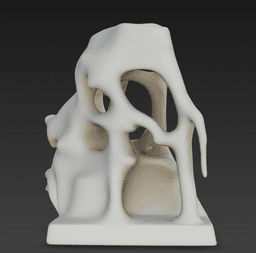 Fossiles Labyrinth – Gebleichte Riff-Wand 3d model