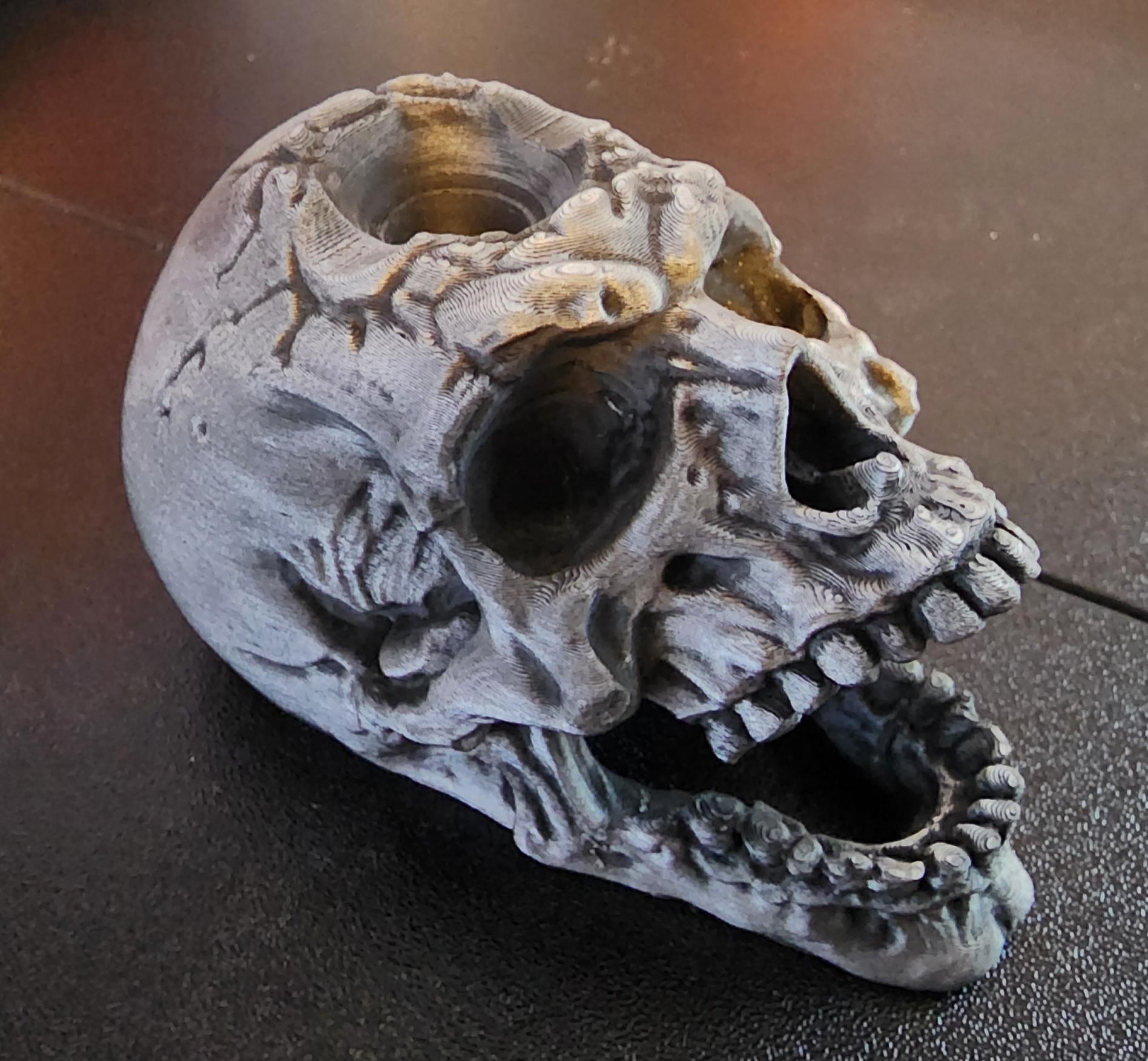 Wacom Pen Holder Skull - Desk Ornament - Hatchbox matte black w/ silver leaf rub n' buff. - 3d model