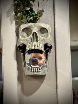 Skull wall planter and mirror 3d model