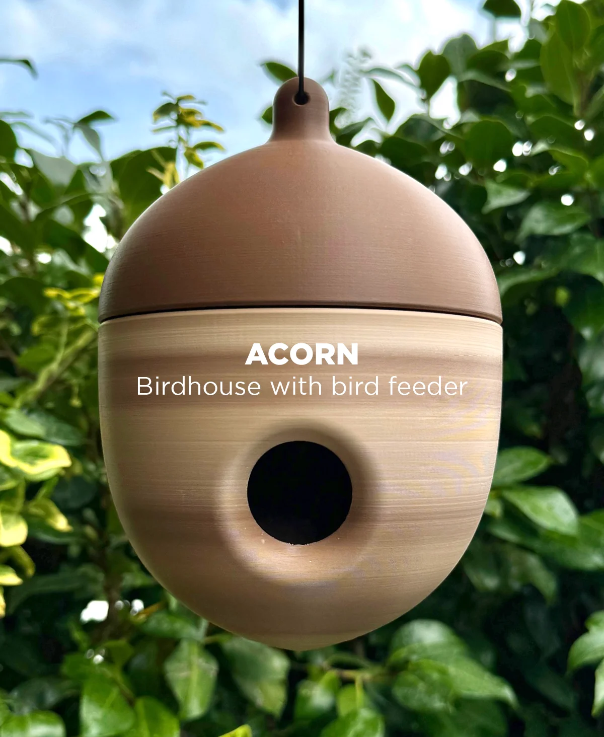Acorn, birdhouse with integrated bird feeder. 3d model