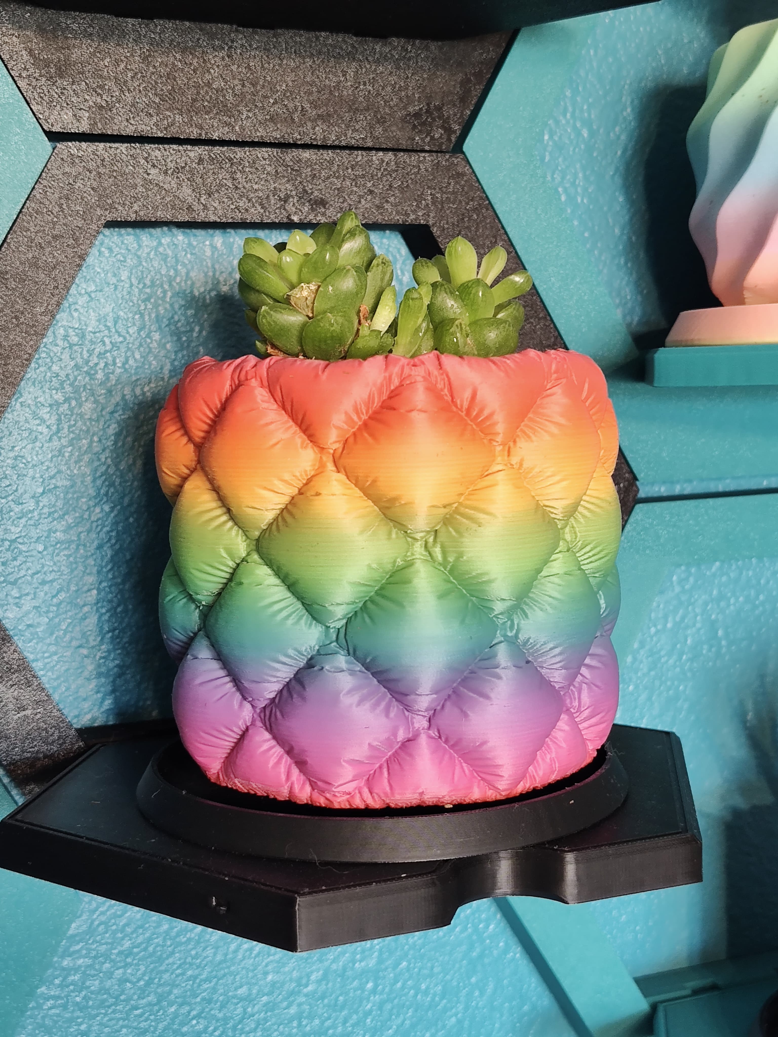I decided to punch a few drainage holes in the bottom so I could use it as a succulent planter. I love how it turned out! It's probably my favorite planter so far.