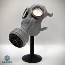 Biohazard - Gas Masks 3d model