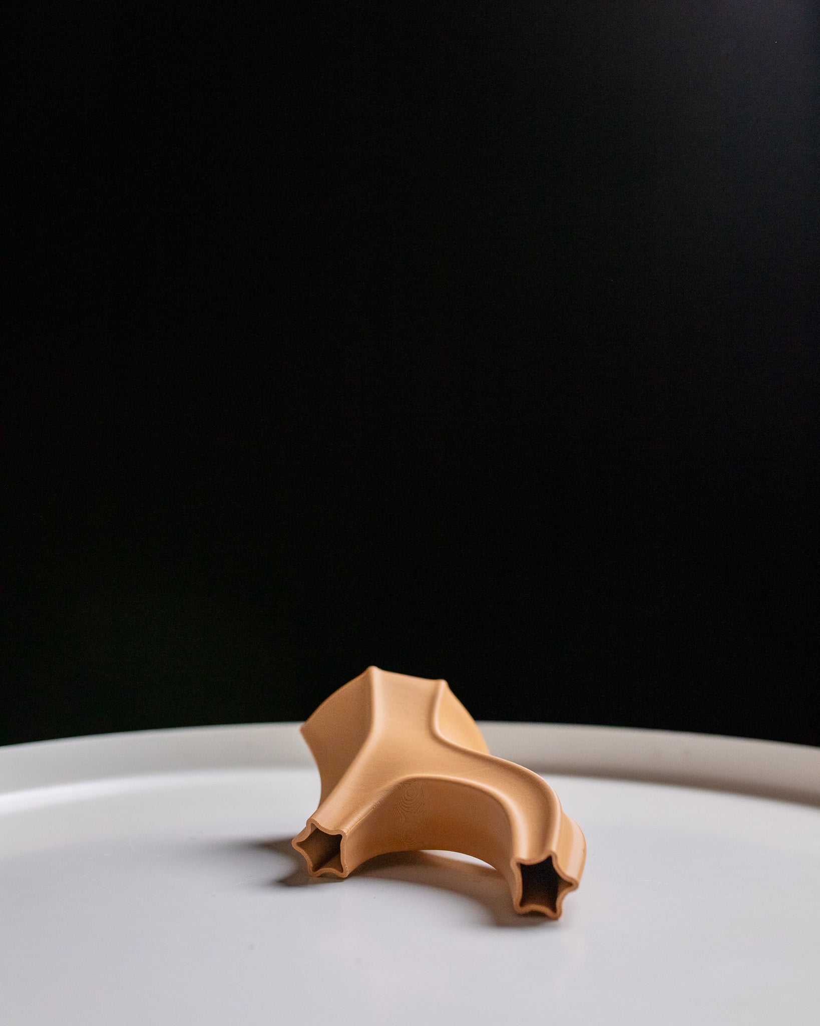 Stem Vase 3d model