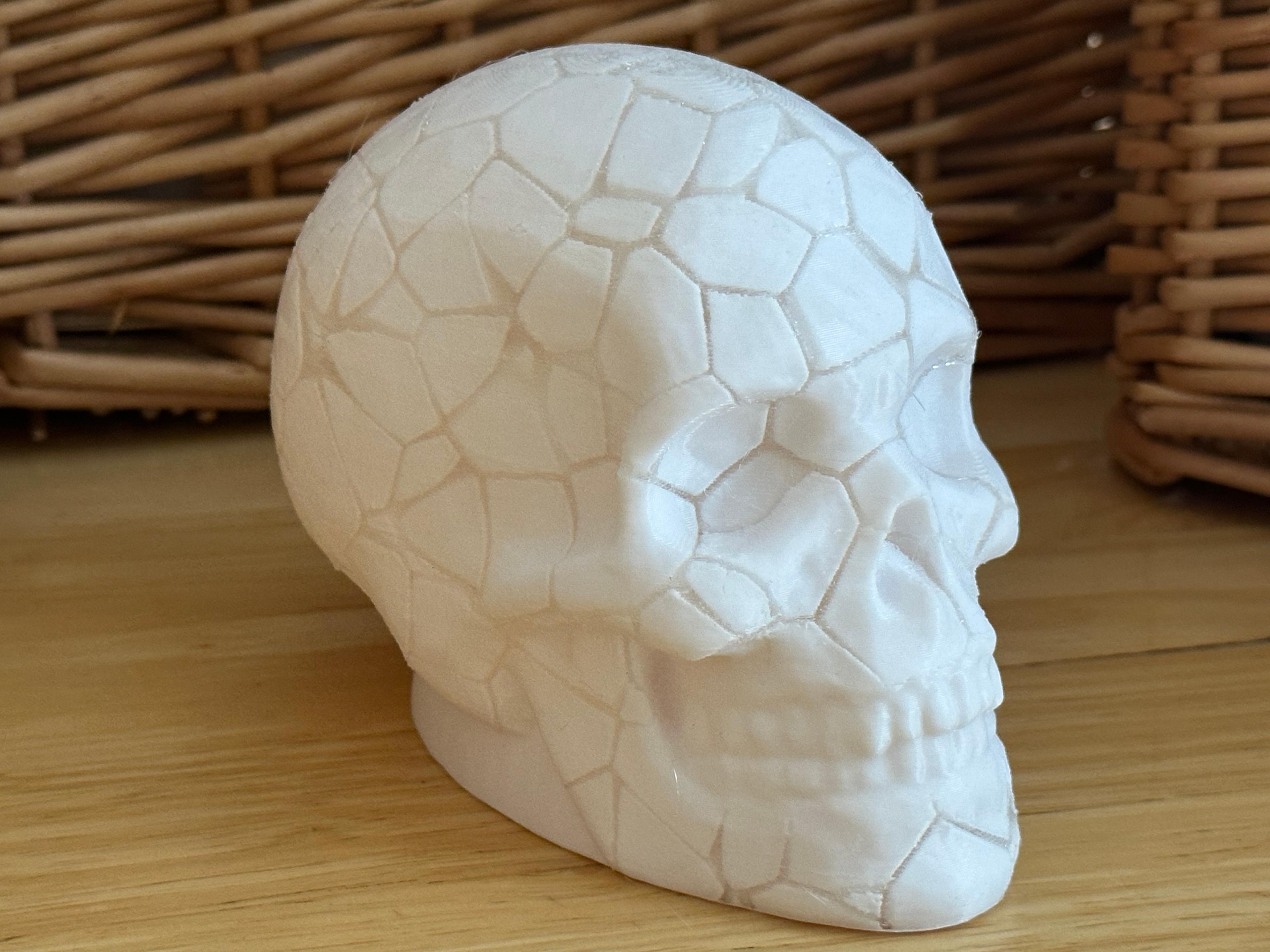 Cracked Skull 3d model