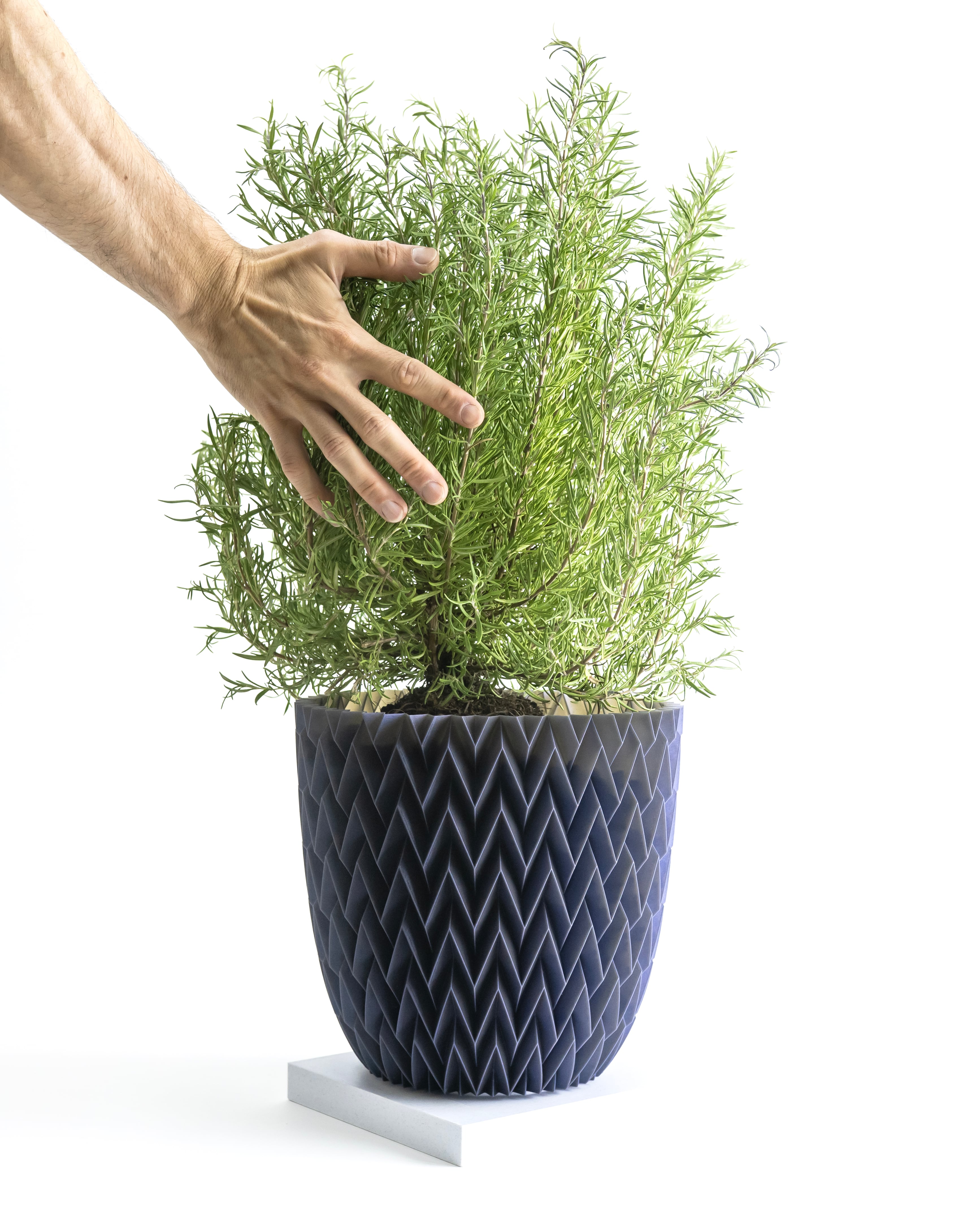 PLEATS Pot 003 (Large) 3d model