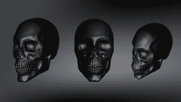 Male Skull Sculpt, Sculpture, Various Versions 3d model