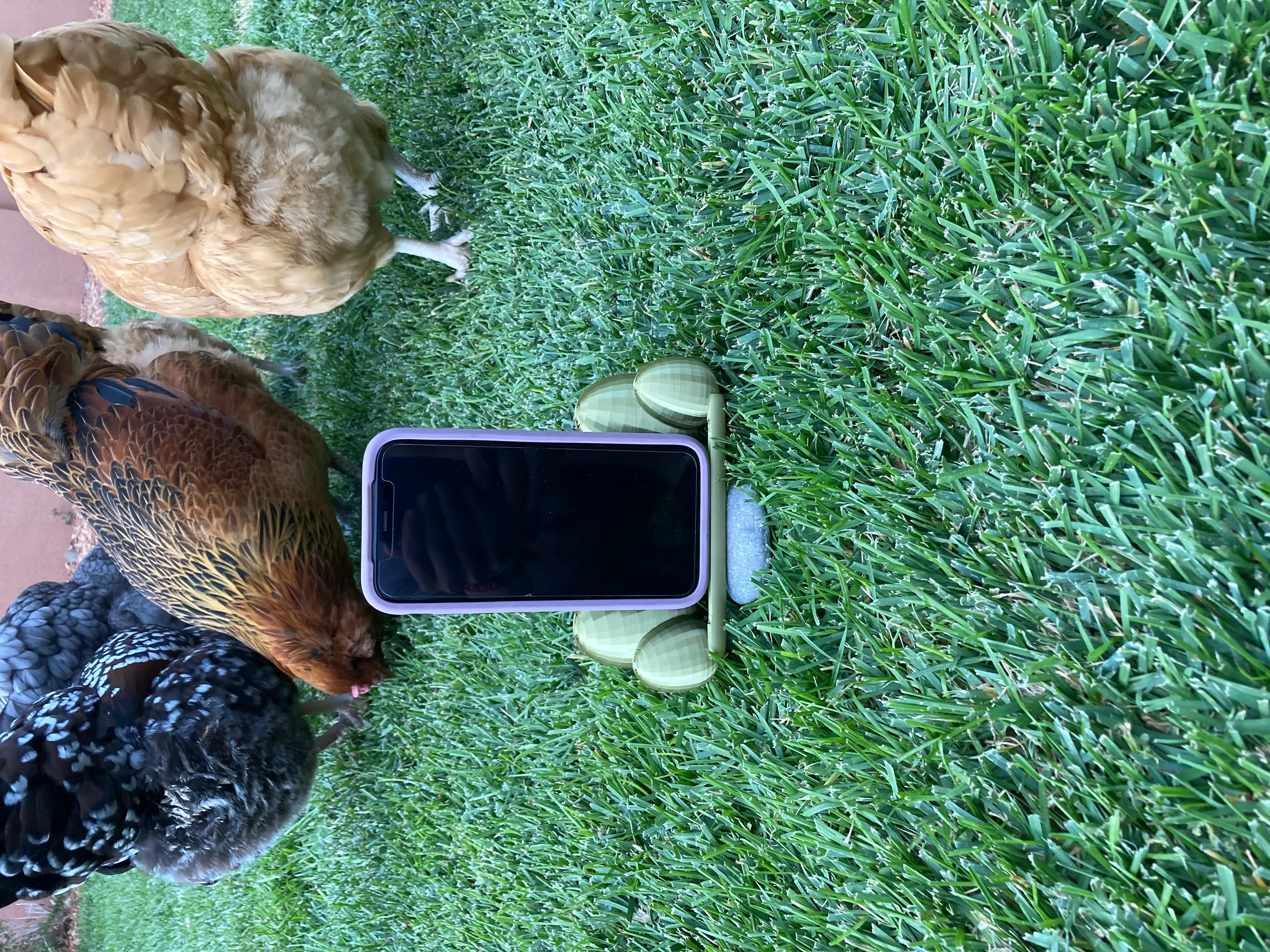 Chicken Inspired Phone Holder.stl 3d model
