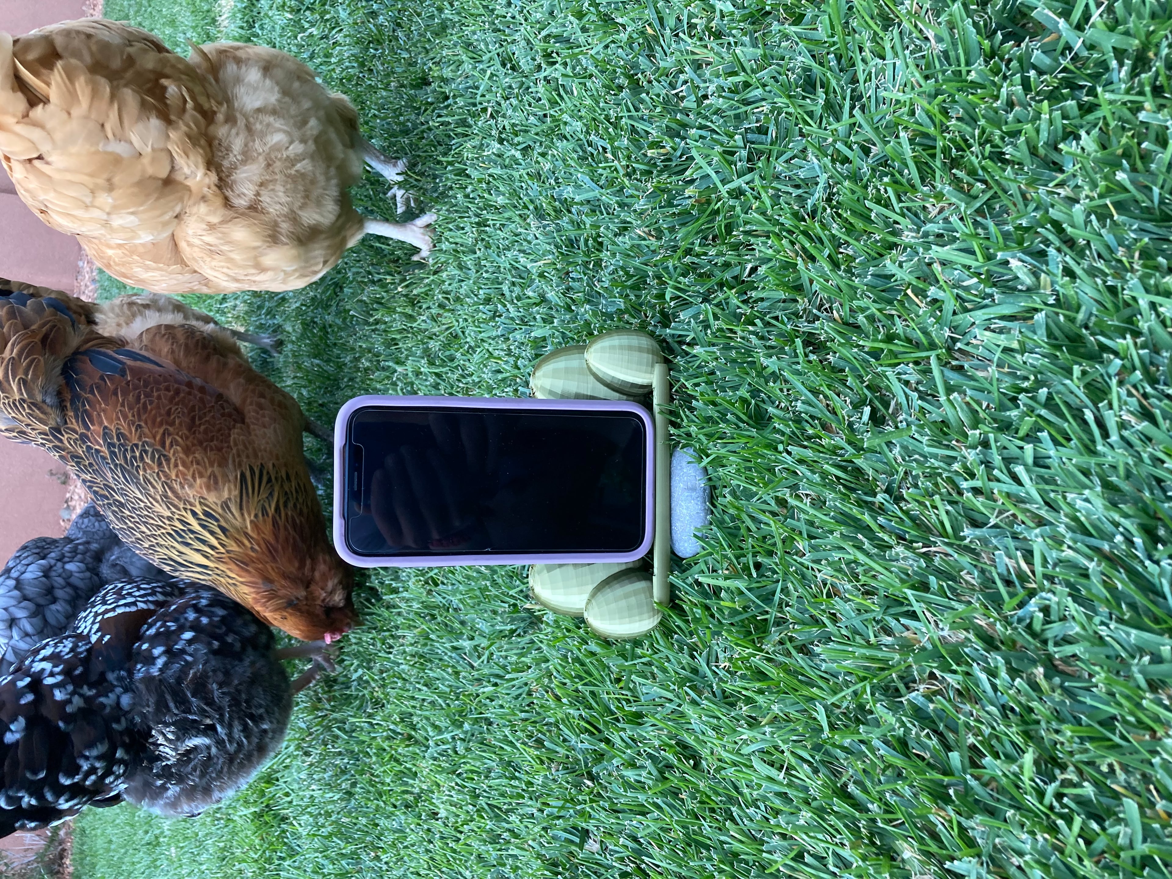 Chicken Inspired Phone Holder.stl 3d model