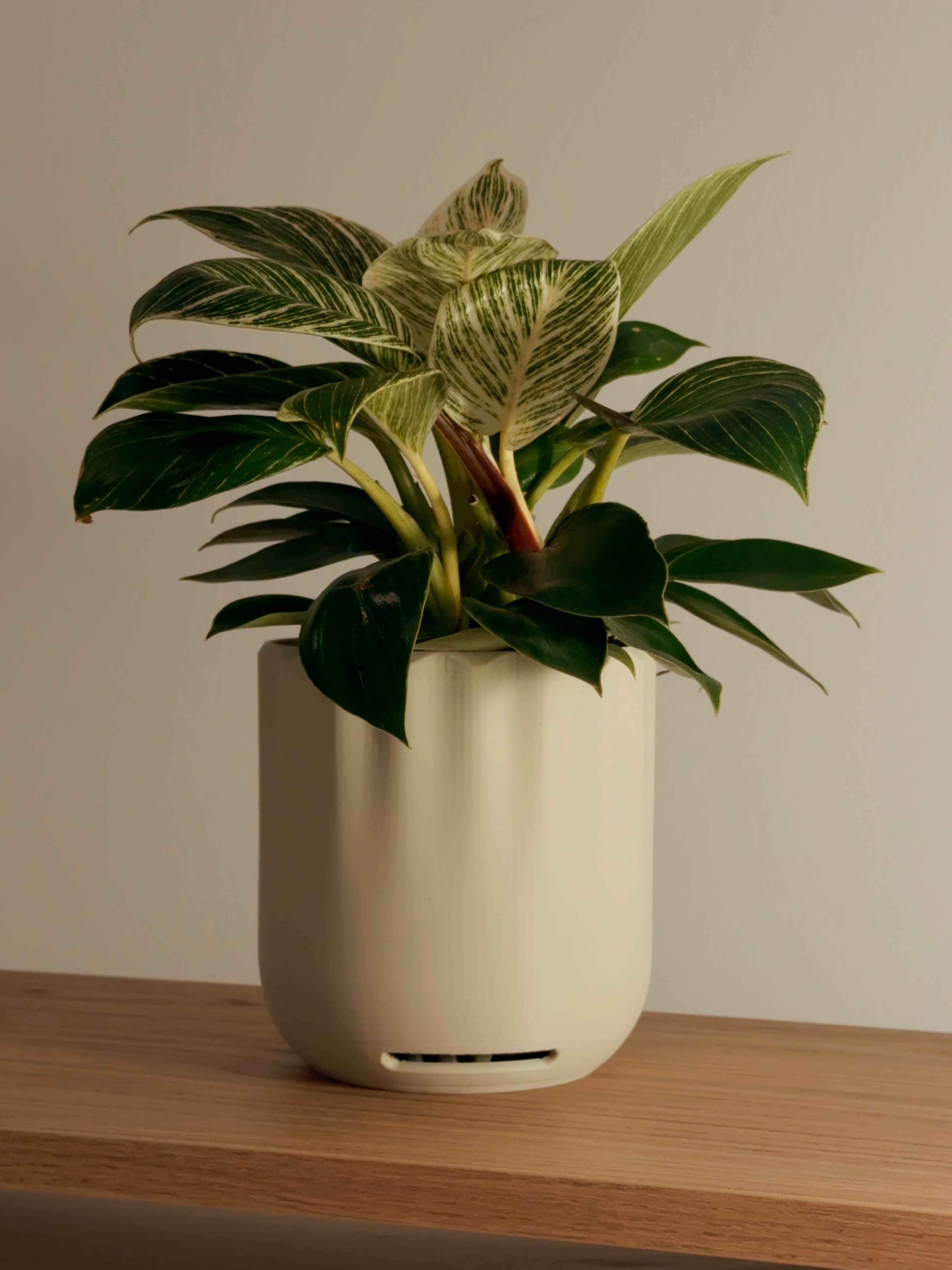 Modern Planter Ripples | drainage built in 3d model