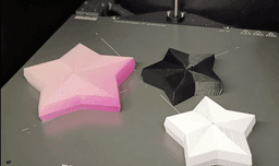 Concentric 5 Point Star Fidget (Multiple Sizes) 3d model