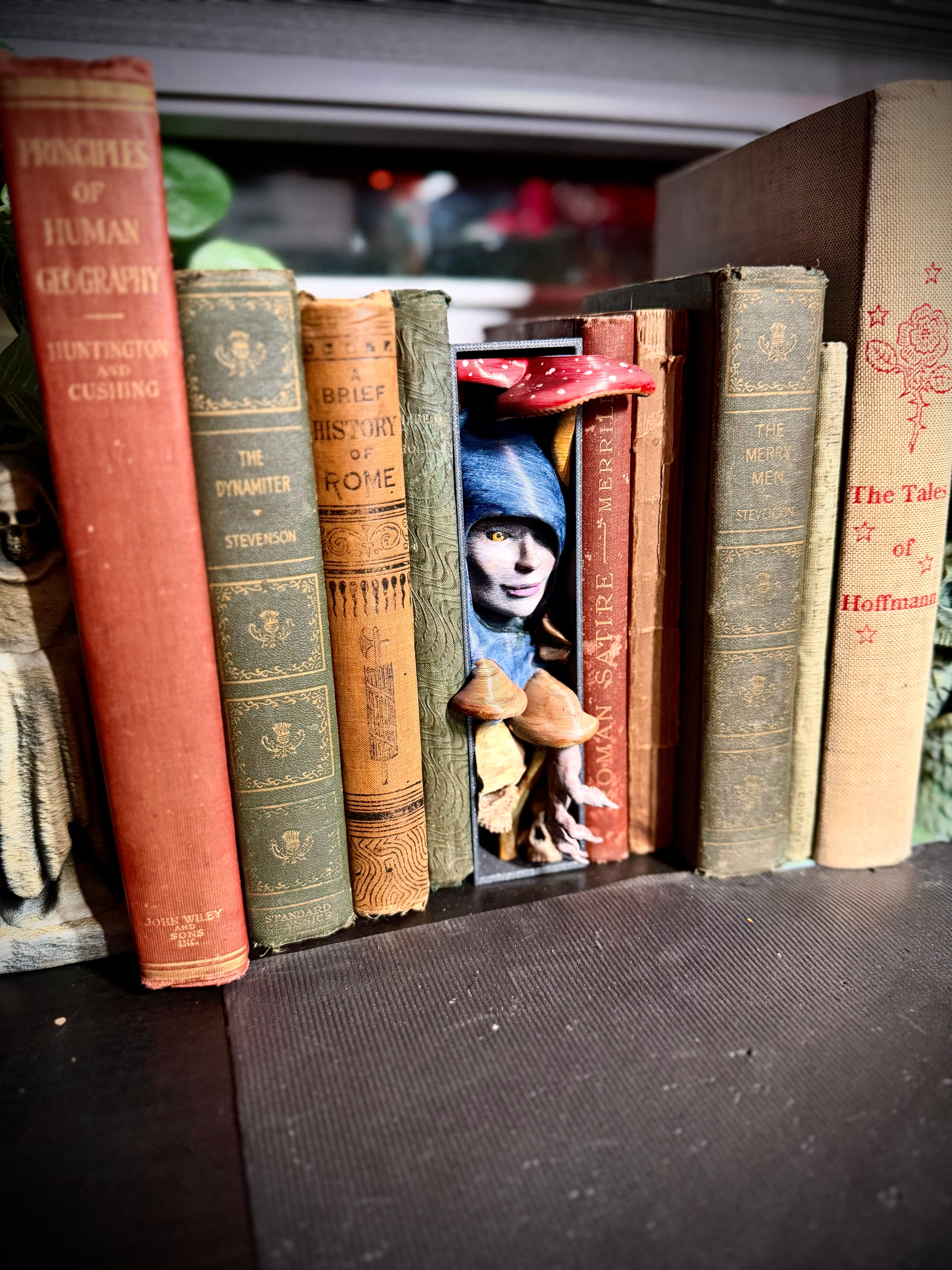 The mushroom witch booknook 3d model