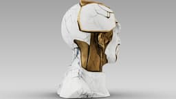 Kintsugi Portrait 3d model