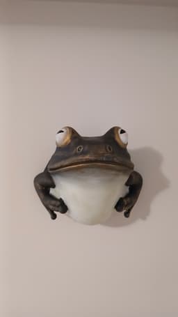 Frog Wall Night Lamp 3d model