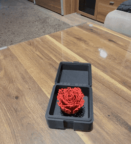 ETERNAL FLOWERS IN A BOX / PRINT IN PLACE BOX / ROSE / TULIP / VORONOI / VALENTINE DAY / MOTHERS DAY 3d model