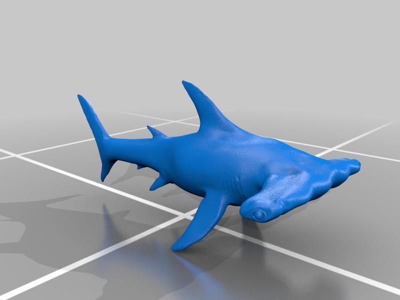 Hammerhead Shark 3d model