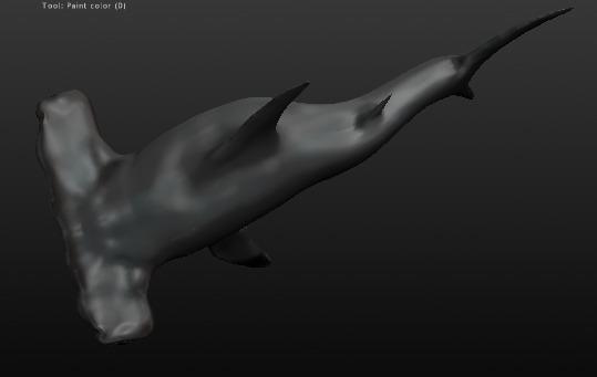 Hammerhead Shark 3d model