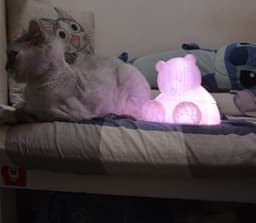 Sitting Bear lamp shade 3d model