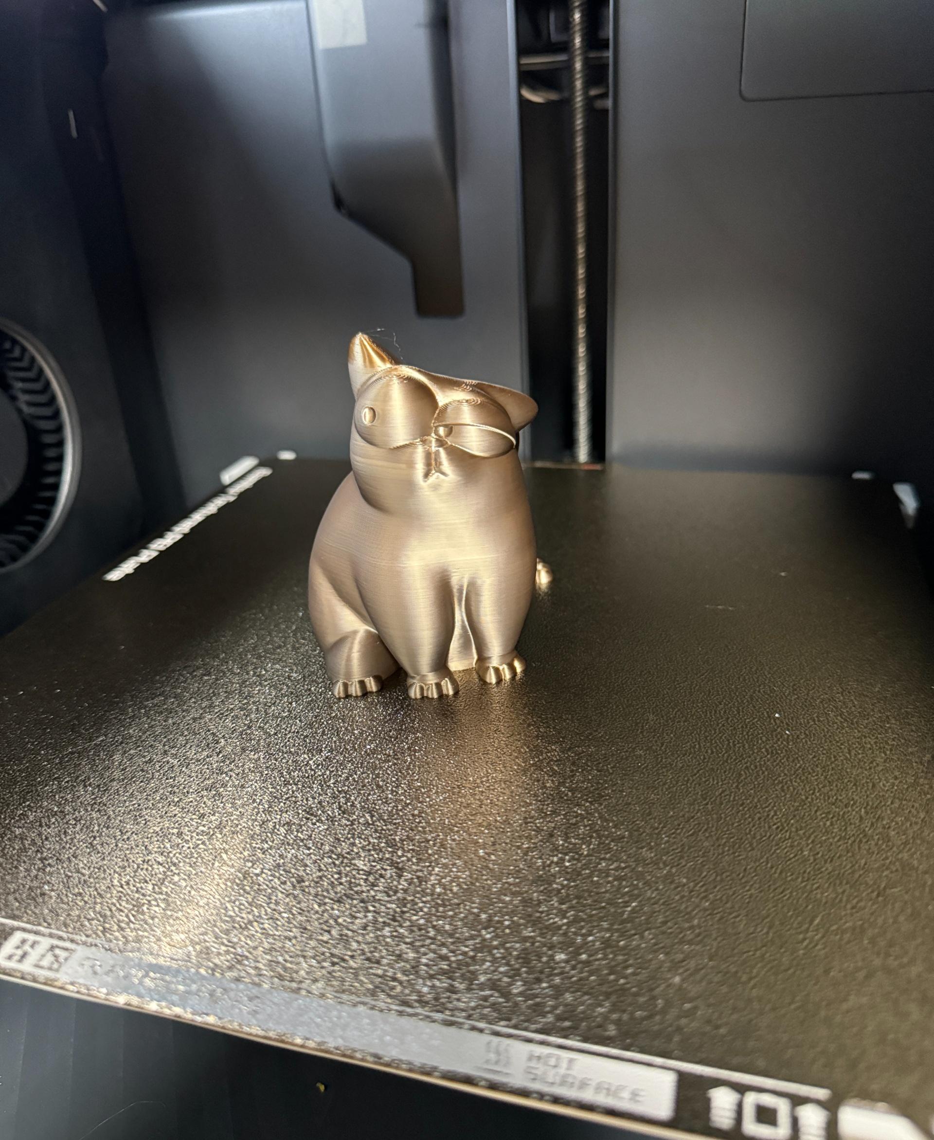 Simons Cat  - 50% size
Mirror
PLA - TTyT3D Shine Chocolate Gold - 3d model
