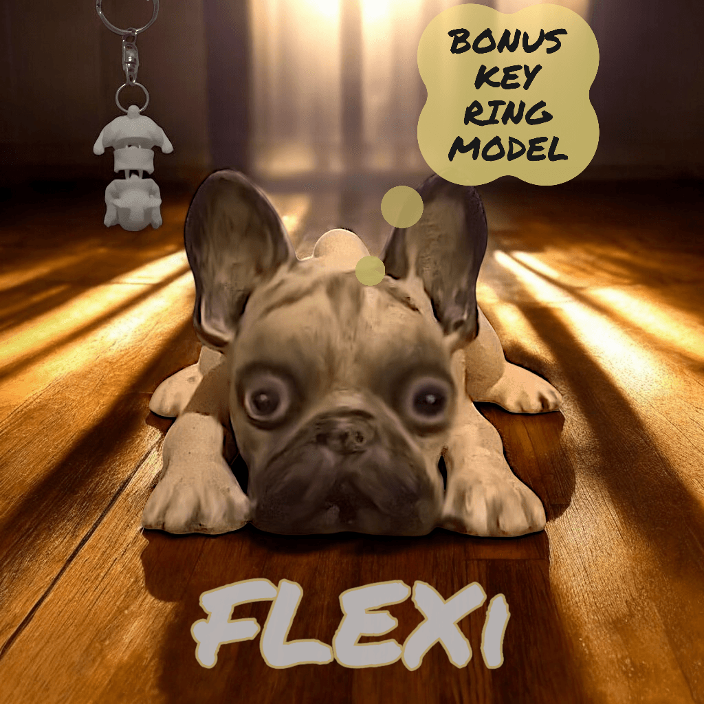 Flexi Frenchy 3d model