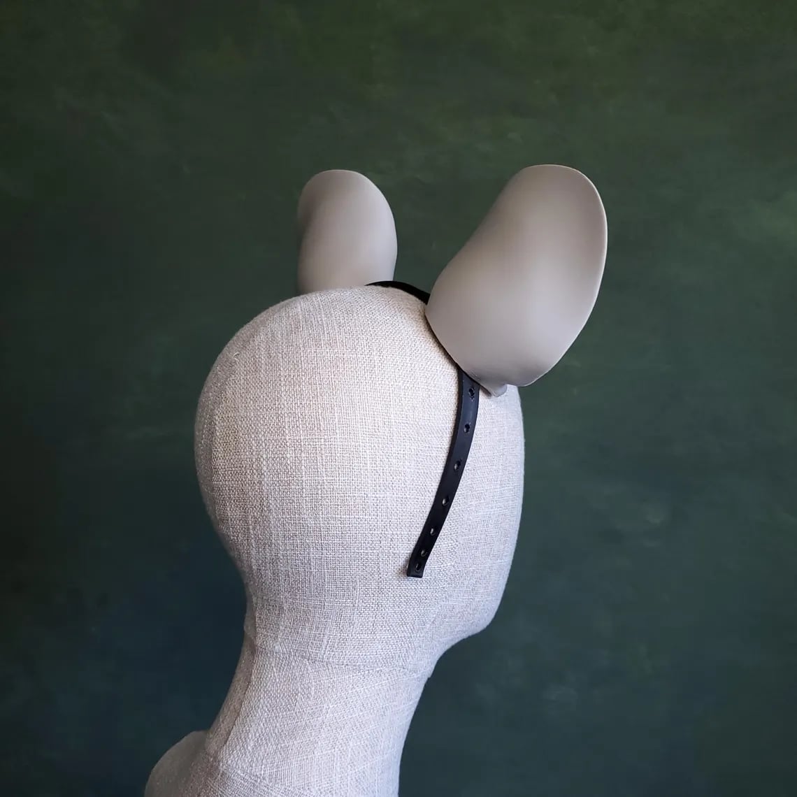 Mouse Ears 3d model
