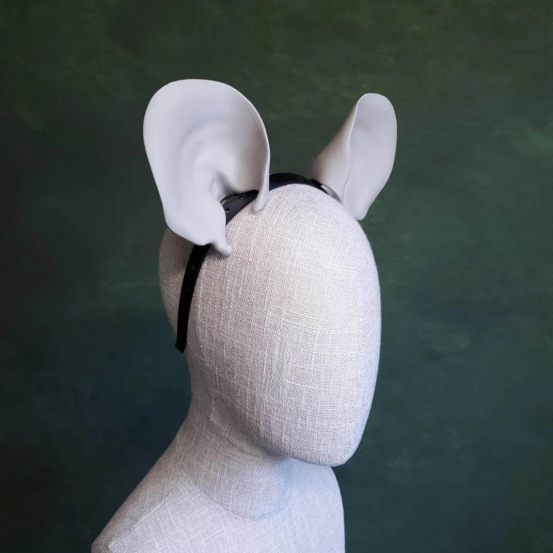 Mouse Ears 3d model