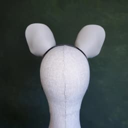 Mouse Ears 3d model