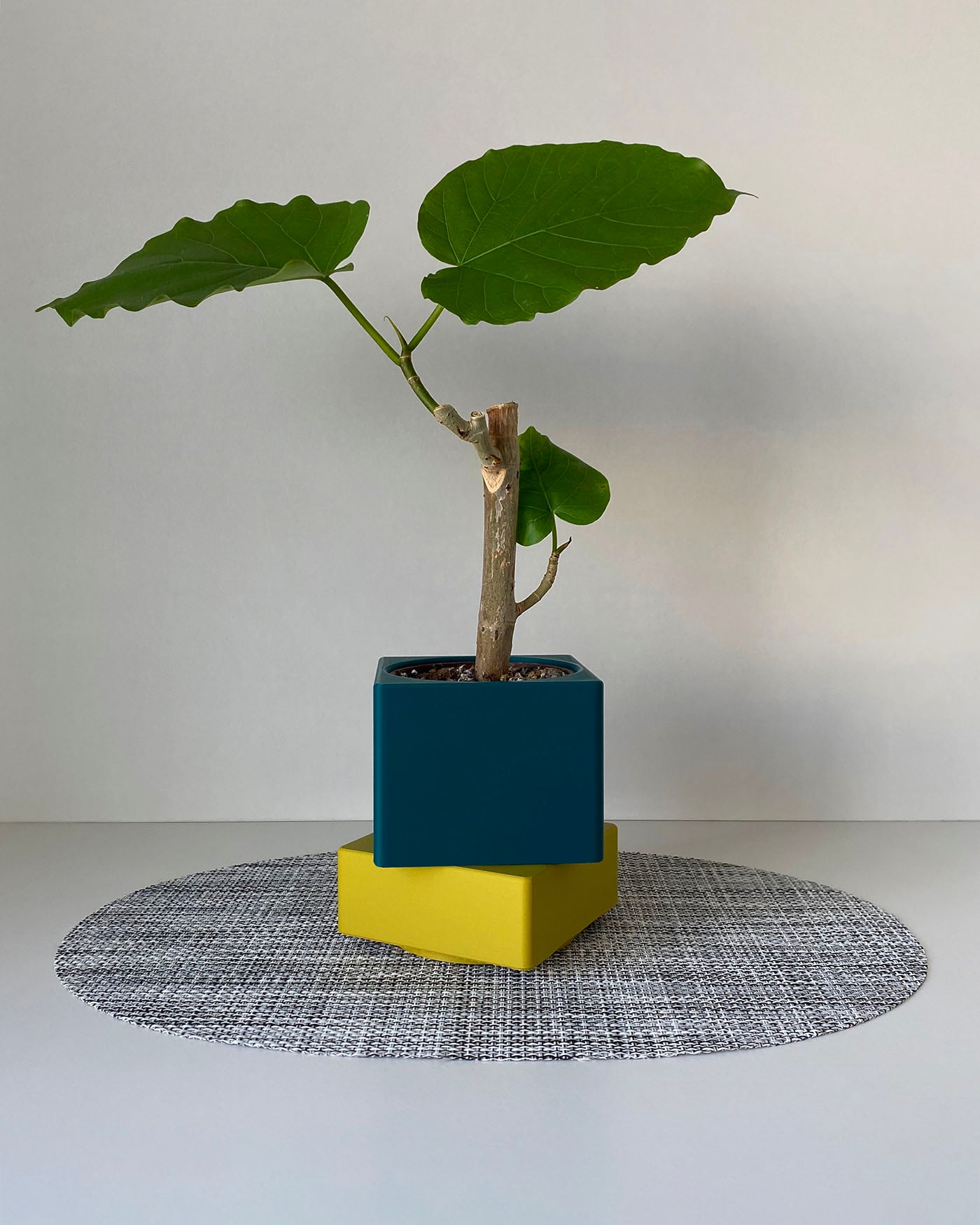 Mini Planters Set With Drainer and Drip Tray 3d model
