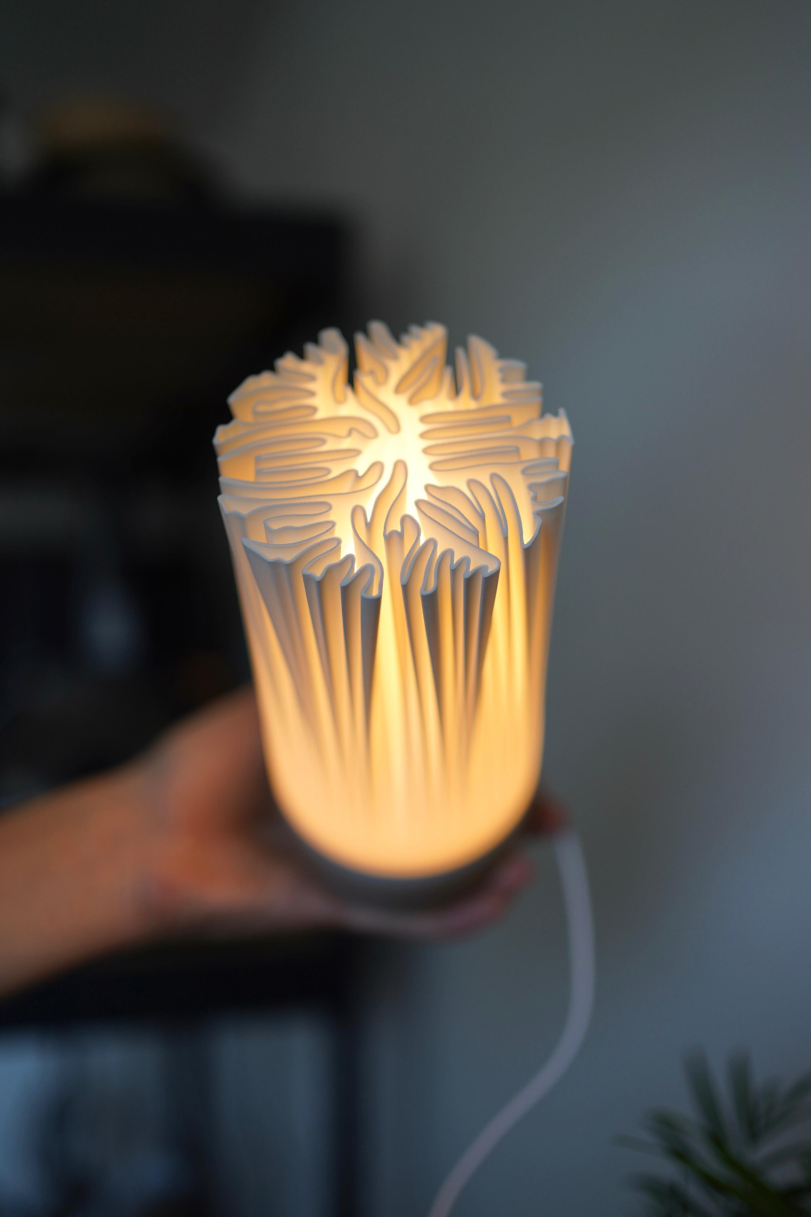 ORGANIS minimalist organic table lamp 3d model