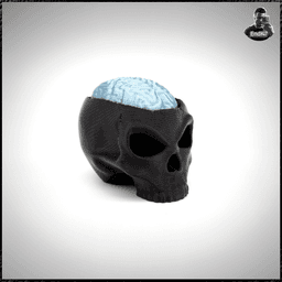 Skull Brain Clickers 3d model