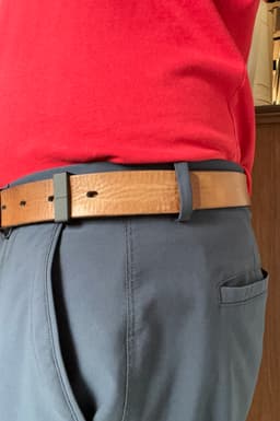 The Belt Buddy V2-V3 3d model