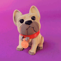 POPOL - The cute little Dog 3d model