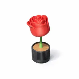 FLOWER SECRET - FLOWER WITH HIDDEN STORAGE / VALENTINES DAY / ANNIVERSARY DAY / MOTHERSDAY / DECOR 3d model