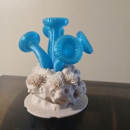 Aquarium Dendogyra Coral Decoration 3d model