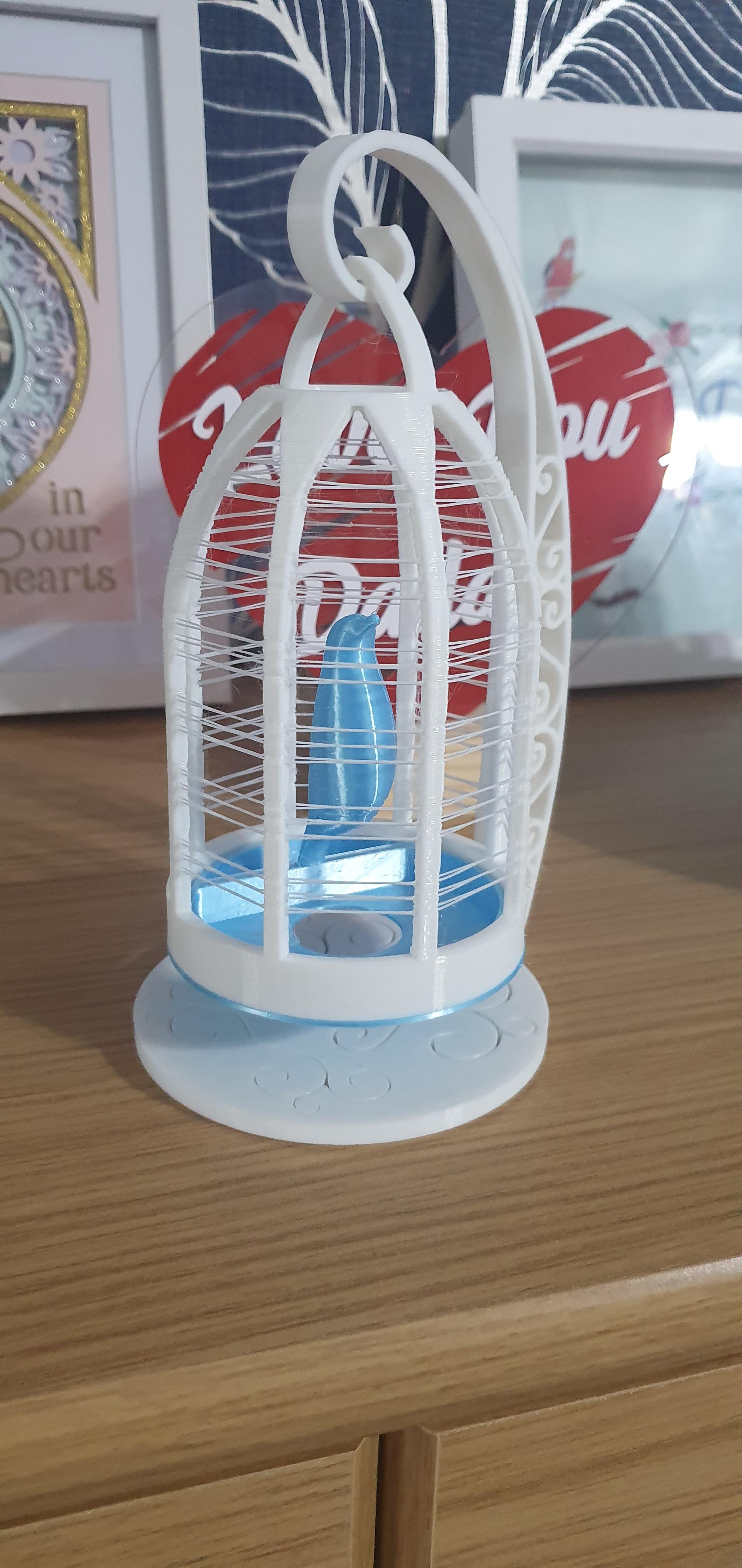 Caged Bird String Ornament 1 3d model