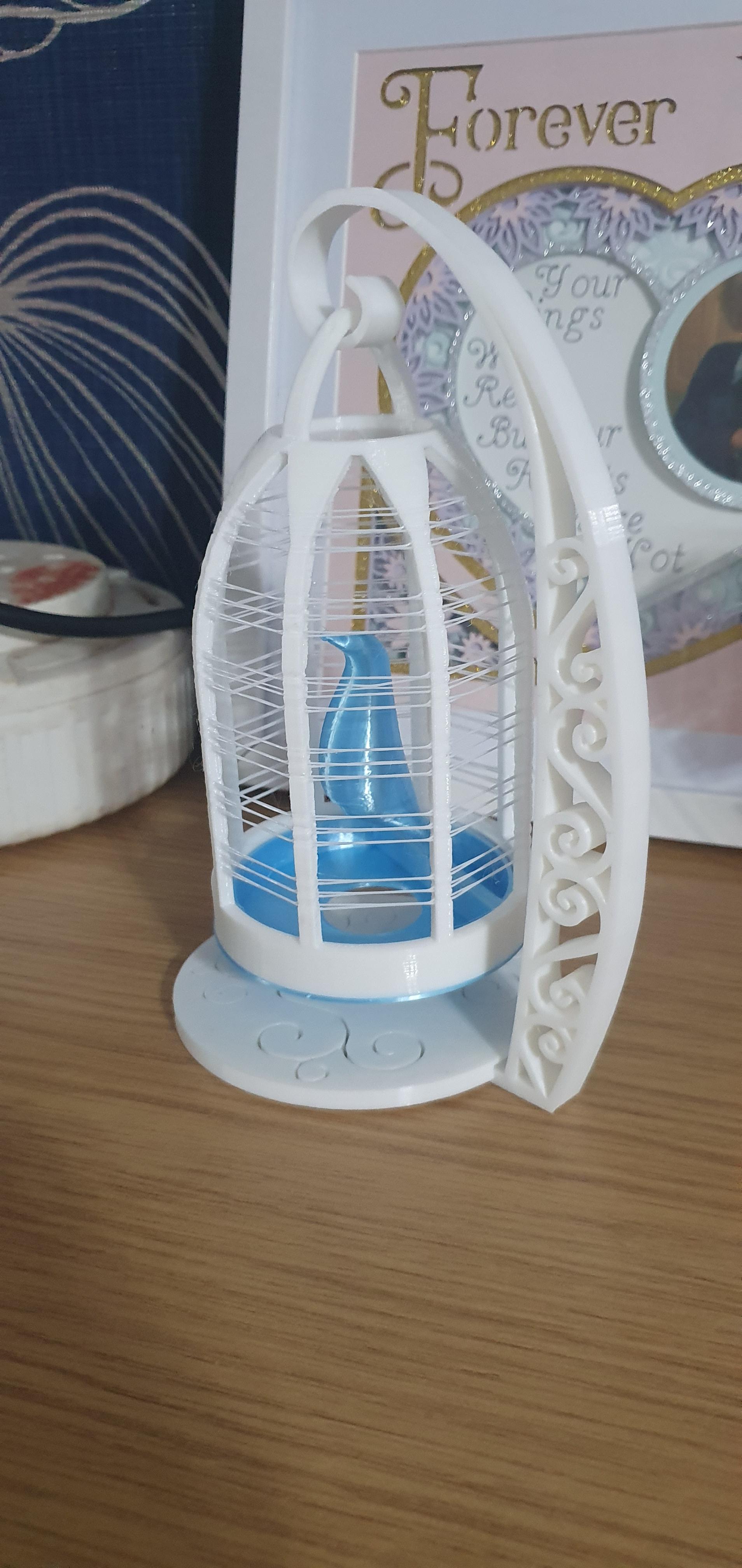 Caged Bird String Ornament 1 - Made on ender 3 pro using white and blue pla such a lovely ornamental design hats off to the designer she dos some great work 👍 👌  - 3d model