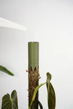 MOSS BUDDY - Moss Pole Starter Pack 3d model