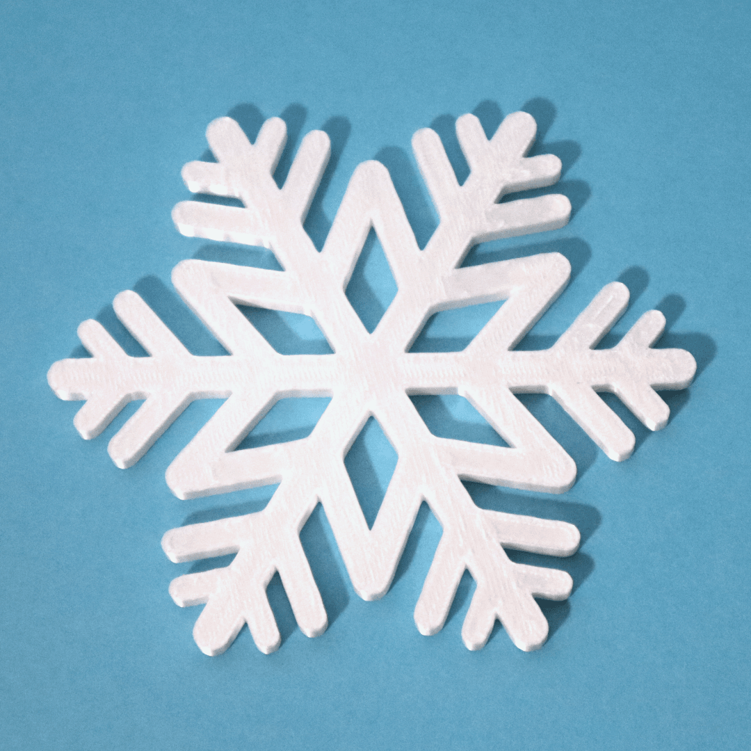 Snowflake coaster 3d model